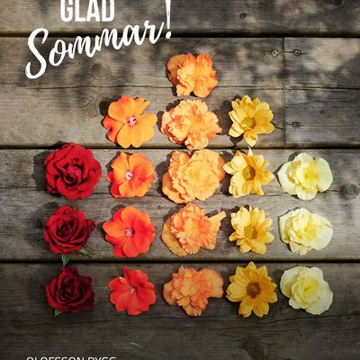 Glad sommar